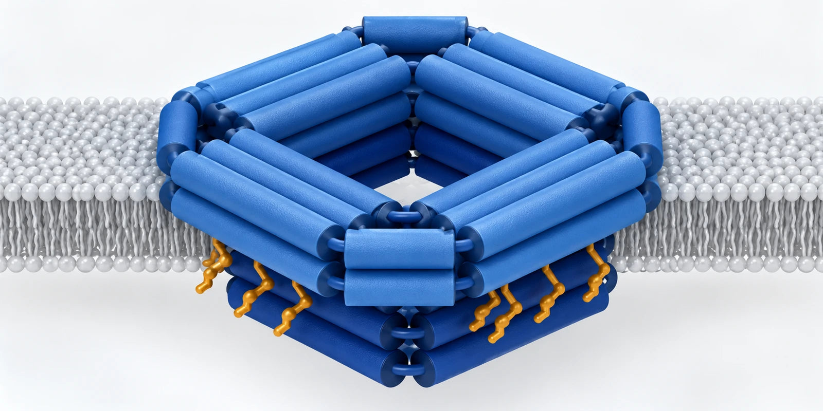 Conceptual illustration for Highly shape- and size-tunable membrane nanopores made with DNA